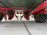Koningsplanter Vicon AP 475HH